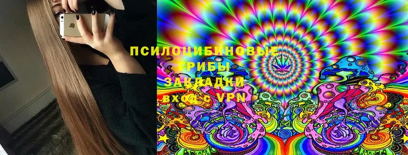 OMG сайт  Аргун  Галлюциногенные грибы мицелий 